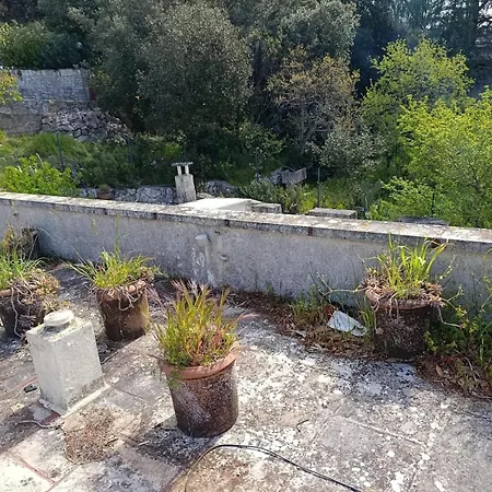 La Del Conte Di Pirro *